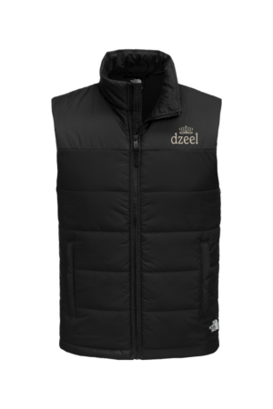 Men's The North Face Vest