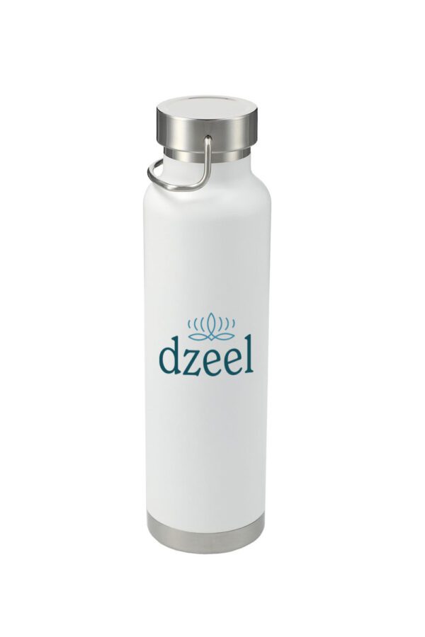 Insulated Bottle 22oz